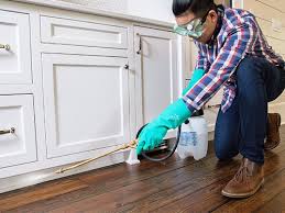 Real Estate Pest Inspections in St Michael, MN